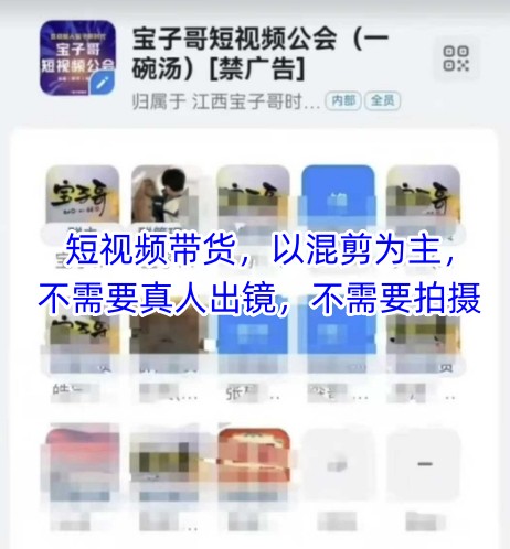 宝子哥头部团队短视频带货，以混剪为主，不需要真人出镜，不需要拍摄【更新】-轻金阁