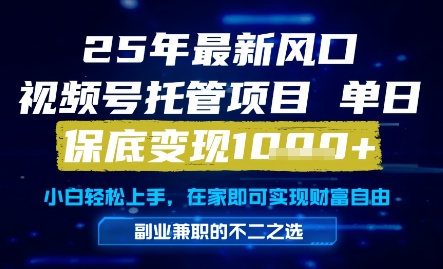 25年最新风口，视频号托管项目，单日保底变现1k+，手把手教学【揭秘】-轻金阁