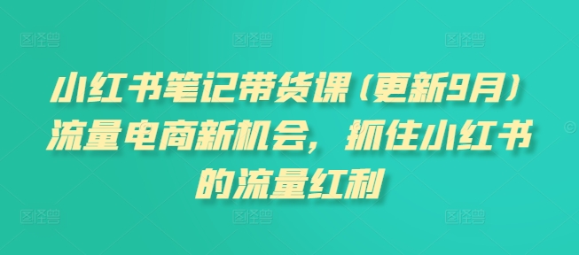 小红书笔记带货课(更新25年5月)流量电商新机会，抓住小红书的流量红利-轻金阁