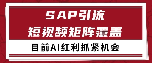 小红书某音sap赛道引流获客 自热矩阵日引200+【揭秘】-轻金阁
