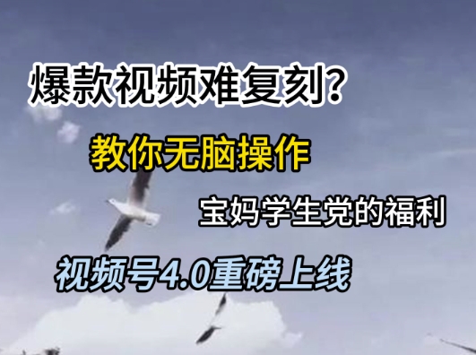 视频号4.0重磅上线，爆款视频难复刻？教你无脑操作宝妈学生党的福利【揭秘】-轻金阁