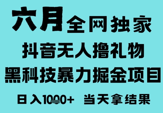 25年6月高爆抖音无人直播最新撸音浪掘金项目，门槛低小白可做，无脑日入1k，可矩阵放大【揭秘】-轻金阁