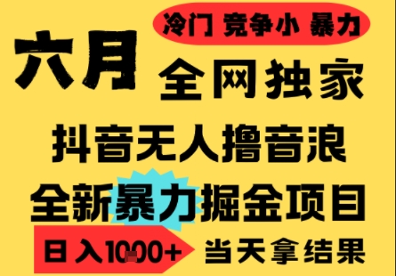 25年6月高爆抖音无人直播最新撸音浪掘金项目，小白可做，无脑日入1k+，门槛低可批量矩阵【揭秘】-轻金阁