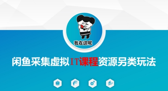 闲鱼采集虚拟IT课程资源另类玩法，干货满满-轻金阁