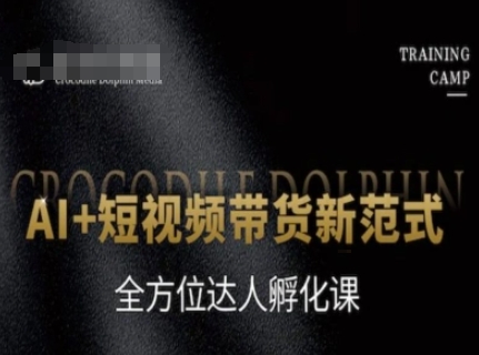 AI+短视频带货新范式，全方位达人孵化课-轻金阁