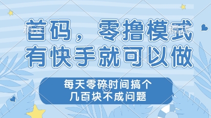 首码，零撸模式，有快手就可以做，每天零碎时间搞个几张不成问题【揭秘】-轻金阁