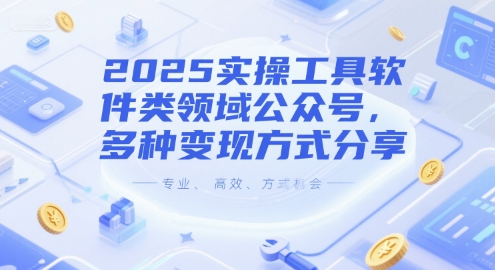 2025实操工具软件类领域公众号，多种变现方式分享-轻金阁