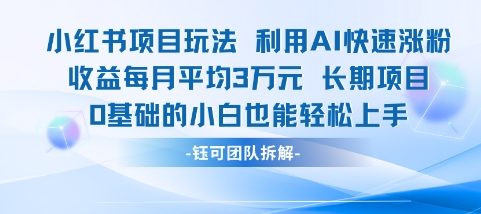 适合小白操作的小红书新项目，利用AI快速涨粉，收益每月平均1W+-轻金阁