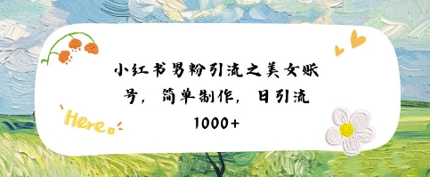 小红书男粉引流项目之美女账号6，简单制作，条条爆款原创，不违规-轻金阁