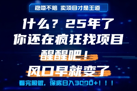 什么？25年你还在疯狂找项目做，醒醒吧，看完这些你全都懂了！【揭秘】-轻金阁