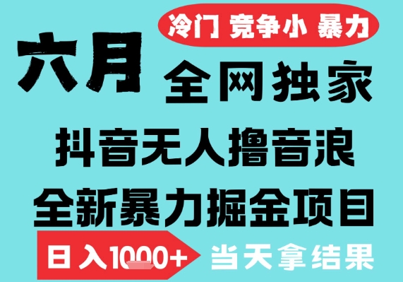 2025年6月高爆抖音无人直播最新撸音浪掘金项目，无脑日入1k+，低门槛小白可做，可矩阵放大【揭秘】-轻金阁