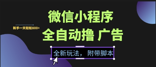 微信小程序全自动撸广告项目，彻底解决没流量的问题，新手一天8张+【揭秘】-轻金阁