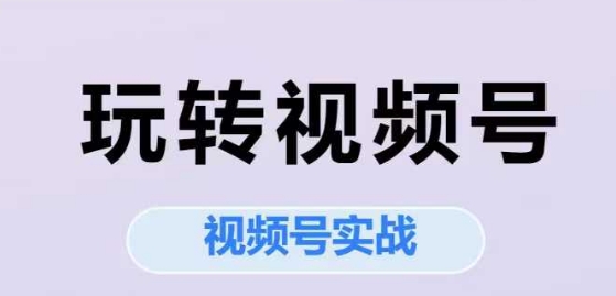 玩转视频号，视频号实战系列课-轻金阁
