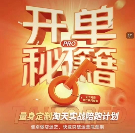 淘宝开单秘籍PRO，量身定制淘天实战陪跑计划，告别做店迷茫、快速突破运营瓶颈期（更新6月）-轻金阁