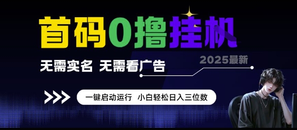 首码0撸挂G项目，无需实名无需看广告 一键启动运行，小白轻松日入三位数【揭秘】-轻金阁