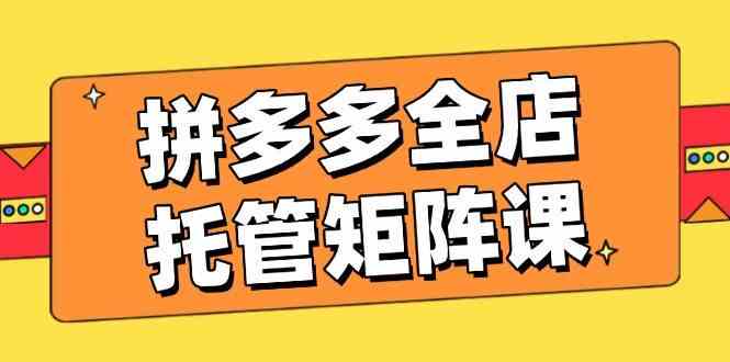 拼多多全店托管矩阵课，盈利动销玩法，高效计划设置，提升店铺效益-轻金阁
