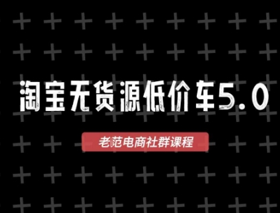 淘宝无货源2025VIP教程，​最新的淘宝无货源课程，1688代发，蓝海选品，零成本创业首选-轻金阁