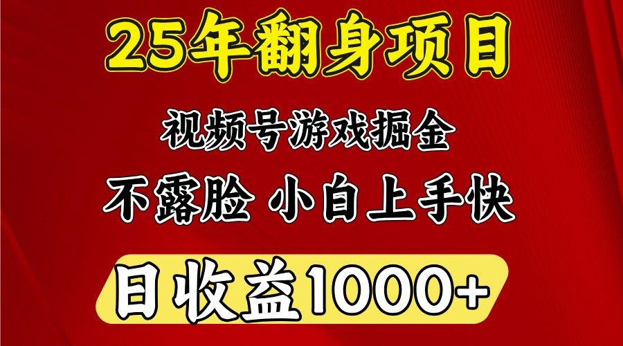 一天收益1000+ 25年开年落地好项目-轻金阁