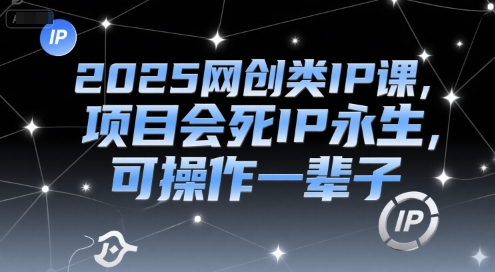 2025网创类IP课，项目会死IP永生，可操作一辈子-轻金阁
