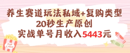 养生赛道玩法私域+复购类型，20秒生产原创实战单号月收入5k+-轻金阁