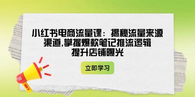 小红书电商流量课：揭秘流量来源渠道,掌握爆款笔记推流逻辑,提升店铺曝光-轻金阁