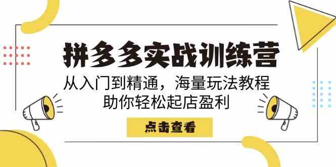 拼多多实战训练营，从入门到精通，海量玩法教程，助你轻松起店盈利-轻金阁