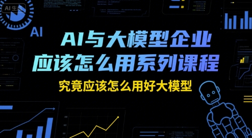 AI与大模型企业应该怎么用系列课程，究竟应该怎么用好大模型-轻金阁