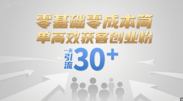 零基础零成本简单高效获客创业粉，一天引流30+-轻金阁