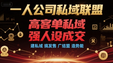 一人公司私域联盟，高客单私域，强人设成交，建私域 搞发售 广结盟 造势能-轻金阁