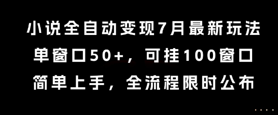 小说全自动变现7月玩法，单窗口50+，可挂100窗口，简单上手，全流程限时公布【揭秘】-轻金阁