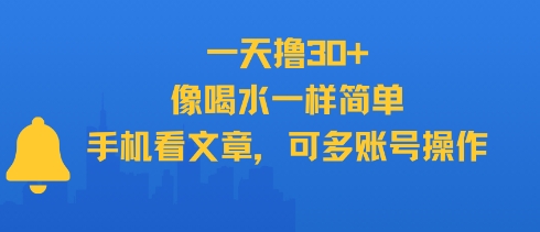 一天撸30+，像喝水一样简单，手机看文章，可多账号操作-轻金阁