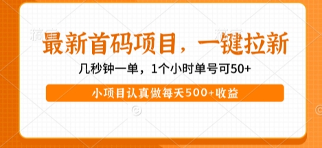 最新首码项目，操作最简单，收益高，一键拉新，1个小时单号可50+，小项目认真做每天5张+收益【揭秘】-轻金阁