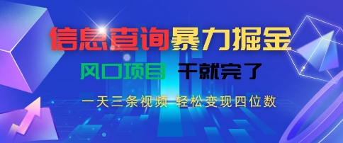 信息查询暴力掘金，一天三条视频，轻松变现四位数，风口项目干就完了【揭秘】-轻金阁