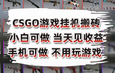 CSGO游戏挂G搬砖，小白纯手机即可操作，不用电脑打游戏，日入3张+，副业网创项目【揭秘】-轻金阁