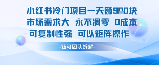 小红书冷门项目一天收益9张，市场需求大，0成本，可复制性强可以矩阵操作-轻金阁