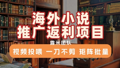 海外小说推广返利项目，视频投喂， 一刀不剪，矩阵批量-轻金阁