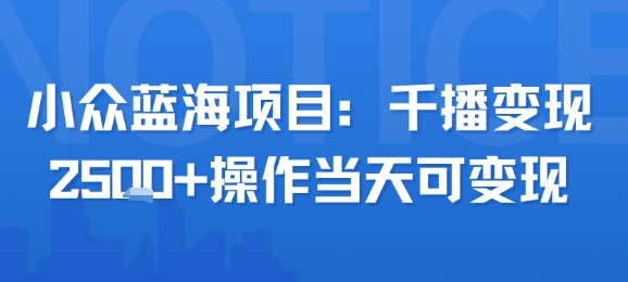 小众蓝海项目，千播变现2.5k+操作当天可变现-轻金阁