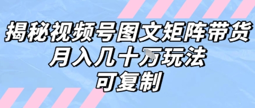 解密视频号图文矩阵带货，月入几个W的打法，可复制-轻金阁