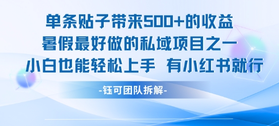 单条贴子带来5张的收益，暑假最好做的私域项目之一，小白也能轻松上手，有小红书就行-轻金阁