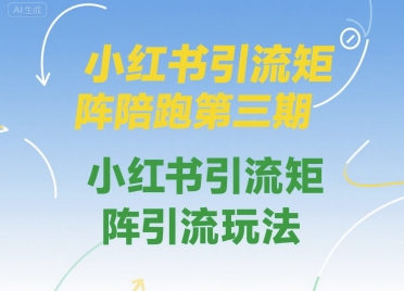 小红书引流矩阵陪跑第三期，小红书引流矩阵引流玩法-轻金阁