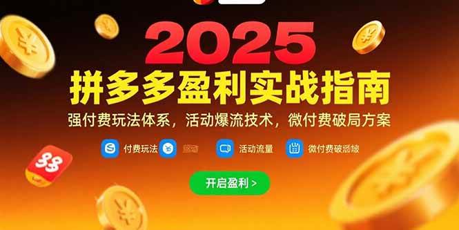 （15357期）拼多多盈利实战指南，强付费玩法，活动爆流技术，微付费破局方案(更新7月)-轻金阁