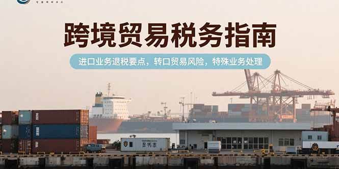 （15381期）跨境贸易税务指南，进口业务退税要点，转口贸易风险，特殊业务处理-轻金阁