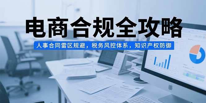 （15377期）电商合规全攻略，人事合同雷区规避，税务风控体系，知识产权防御-轻金阁