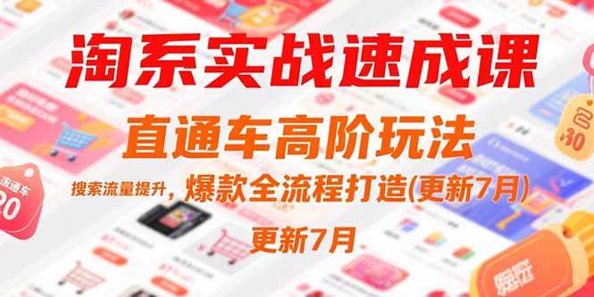 （15374期）淘系实战速成课，直通车高阶玩法，搜索流量提升，爆款全流程打造(更新7月)-轻金阁