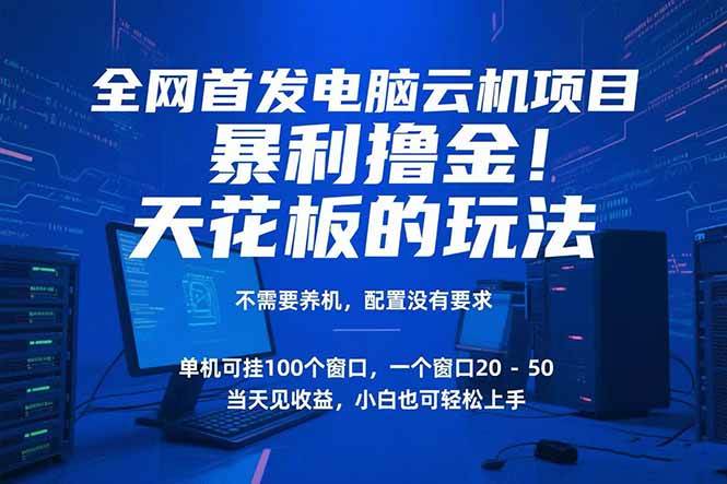 （15323期）电脑云机项目 暴力撸金玩法，不需要养机 配置没有要求 单机100个窗口一…-轻金阁