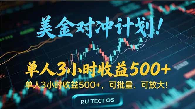 （15321期）长久稳定的撸美金项目，平均3小时收入 500+，可公司实地考察实地操作！-轻金阁