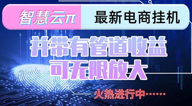 （15314期）智慧云π电脑挂机单机每天收益300—500+ 并带有团队管道收益 可无限放大-轻金阁