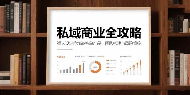 （15294期）私域商业全攻略，强人设定位加高客单产品，团队搭建与风险管控-轻金阁