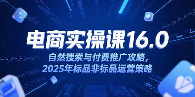 （15262期）淘宝电商运营课16.0，自然搜索与付费推广攻略，2025年标品非标品运营策略-轻金阁