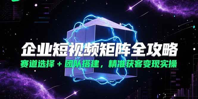 （15242期）企业短视频矩阵全攻略，赛道选择+团队搭建，精准获客变现实操-轻金阁